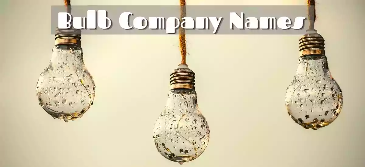 Best Bulb Company Names