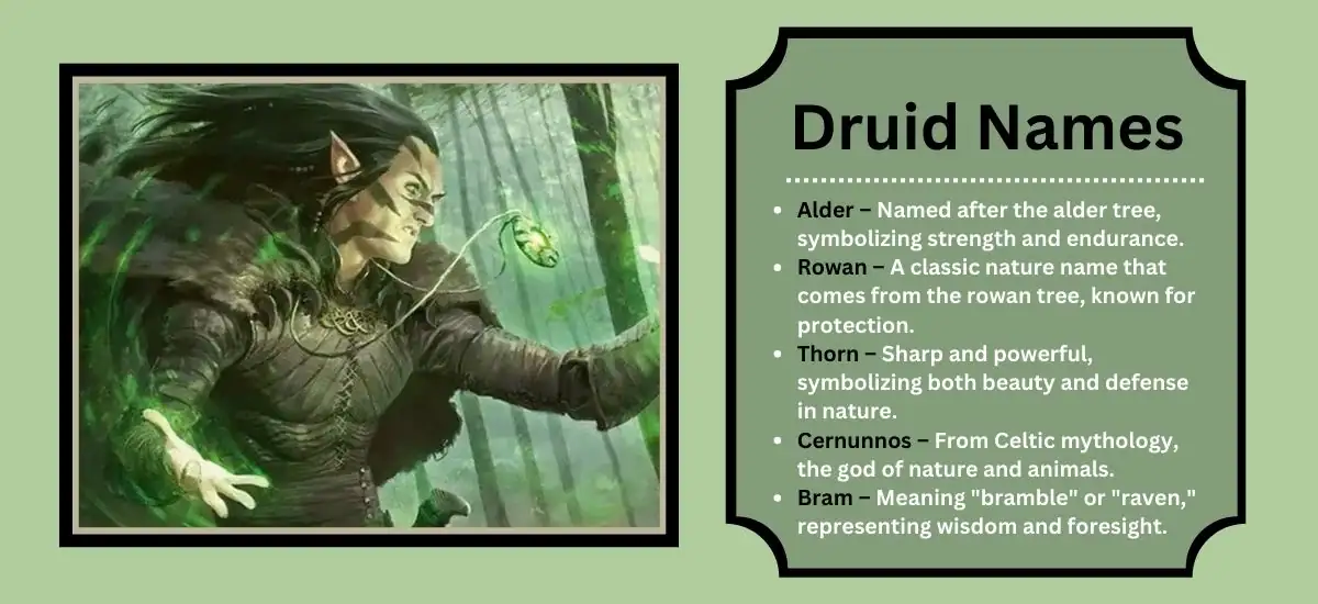 Druid Names: Finding Your Perfect Nature-Inspired Name