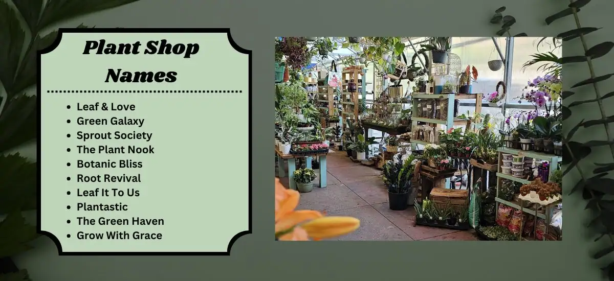 Plant Shop Names